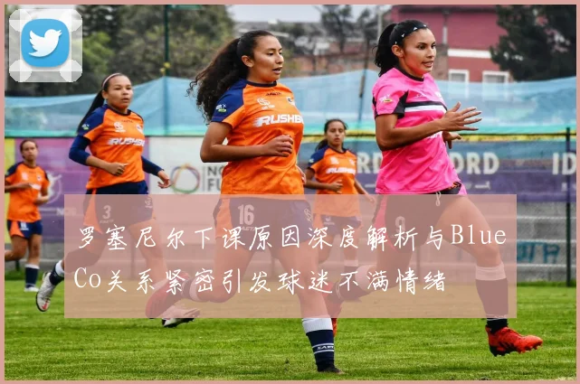 罗塞尼尔下课原因深度解析与BlueCo关系紧密引发球迷不满情绪